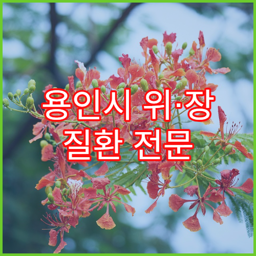 용인시 위·장 질환 전문 소화기내과 병원 추천