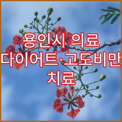 용인시 의료 다이어트·고도비만 치료 병원 추천