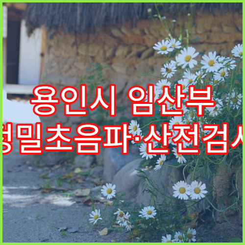 용인시 임산부 정밀초음파·산전검사 전문 병원