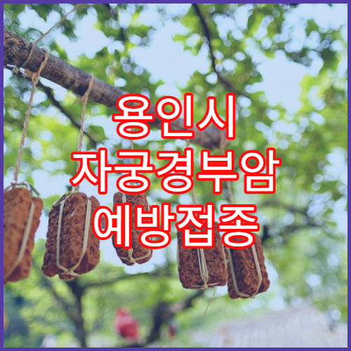 용인시 자궁경부암 예방접종 병원과 비용안내