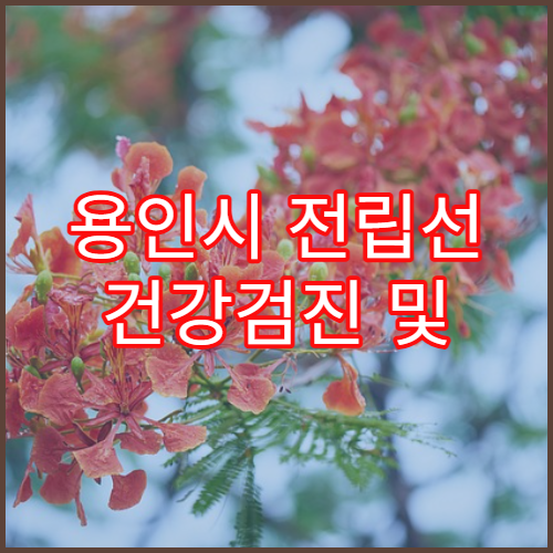 용인시 전립선 건강검진 및 비대증 치료 병원