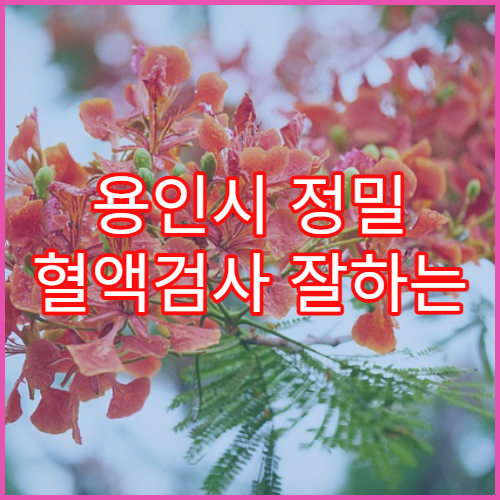 용인시 정밀 혈액검사 잘하는 내과 병원 정보