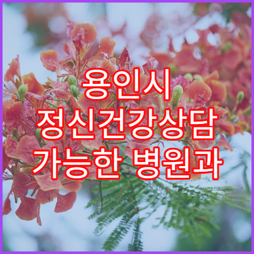 용인시 정신건강상담 가능한 병원과 상담비용 가이드