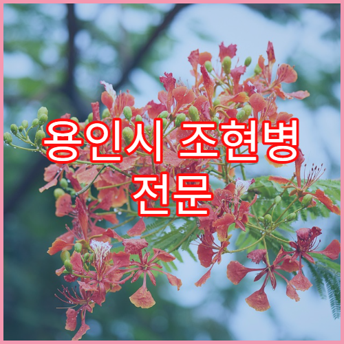 용인시 조현병 전문 치료 정신건강의학과