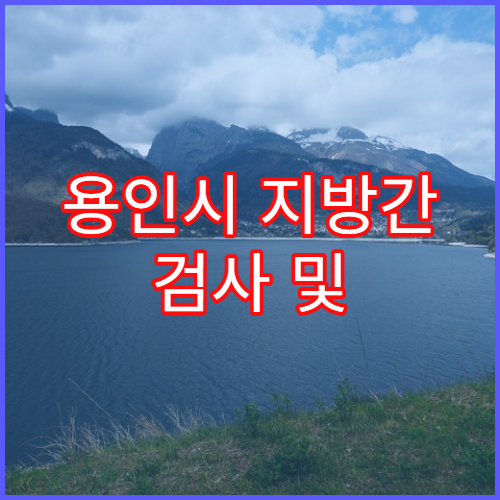 용인시 지방간 검사 및 간 건강관리 병원