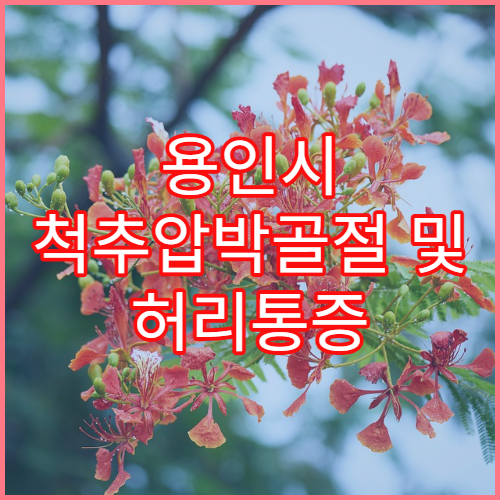 용인시 척추압박골절 및 허리통증 치료 병원