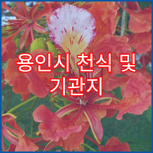 용인시 천식 및 기관지 질환 치료 병원