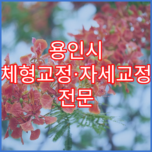 용인시 체형교정·자세교정 전문 치료 병원