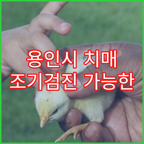 용인시 치매 조기검진 가능한 병원 정보