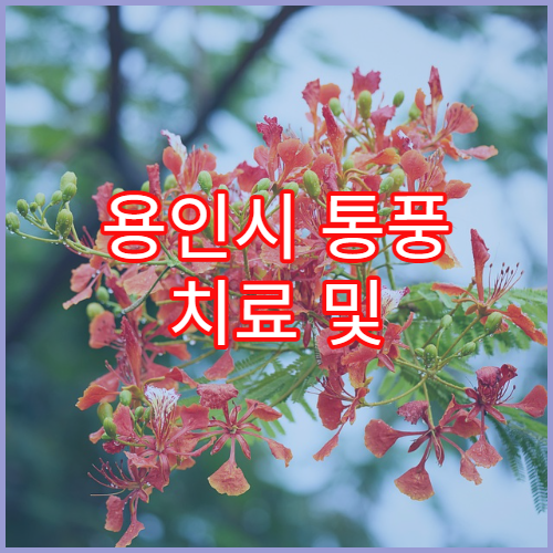 용인시 통풍 치료 및 식이요법 상담 병원