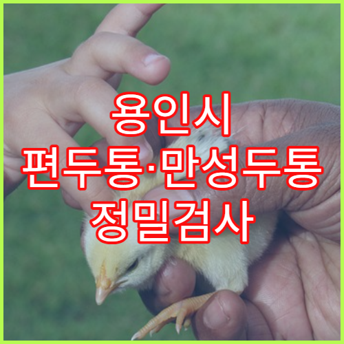 용인시 편두통·만성두통 정밀검사 병원