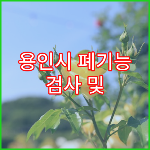 용인시 폐기능 검사 및 검사 절차 안내
