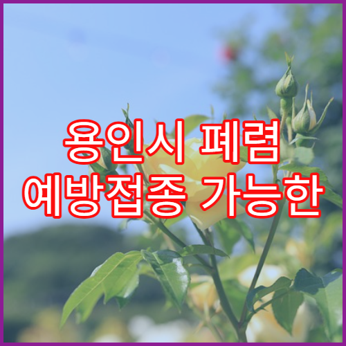 용인시 폐렴 예방접종 가능한 병원 및 접종시기