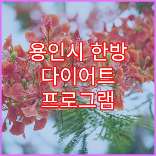 용인시 한방 다이어트 프로그램 및 체중조절 한의원 안내