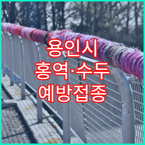 용인시 홍역·수두 예방접종 병원 안내