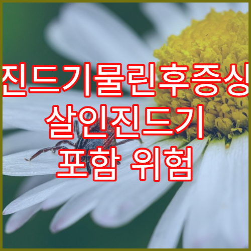 진드기물린후증상 살인진드기 포함 위험 신호와 대처법