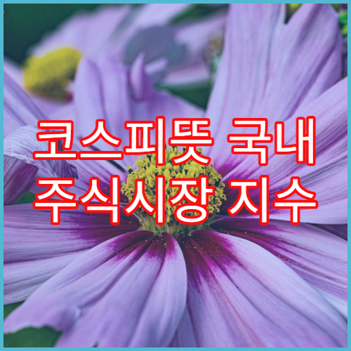 코스피뜻 국내 주식시장 지수 구조 한 번에 이해하기