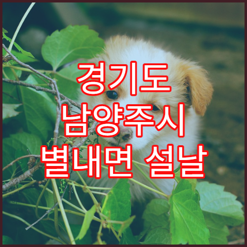 경기도 남양주시 별내면 설날 명절 연휴 당직 약국 읍·농촌 지역 응급 처방전 조제 약국