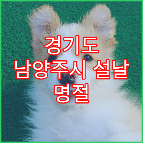 경기도 남양주시 설날 명절 내과 연휴 진료 병원 감기·몸살·소화불량·설 음식 체한 복통 진료