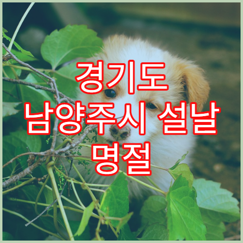 경기도 남양주시 설날 명절 산부인과 연휴 진료 병원 생리통·질염·생리불순 명절 중 불편 진료
