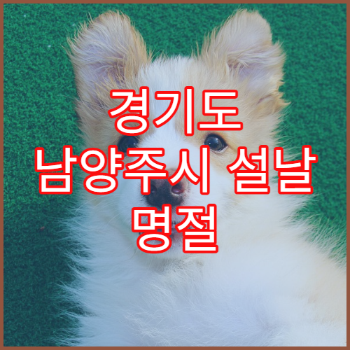 경기도 남양주시 설날 명절 소아과 연휴 진료 병원 소아 고열·기침·설사·구토 응급 진료 가능
