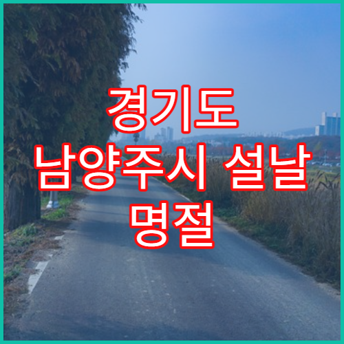 경기도 남양주시 설날 명절 응급의학과 연휴 진료 병원 설 연휴 중 외상·급성 통증 응급실