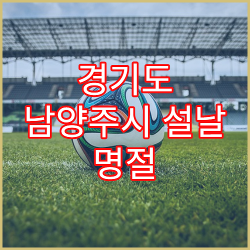 경기도 남양주시 설날 명절 정형외과 연휴 진료 병원 허리통증·무릎관절염·디스크 설 연휴 상담