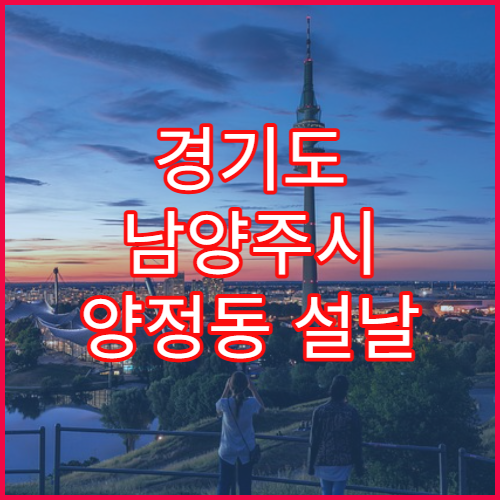 경기도 남양주시 양정동 설날 명절 연휴 당직 약국 동네 상가 속 문 여는 약국 리스트