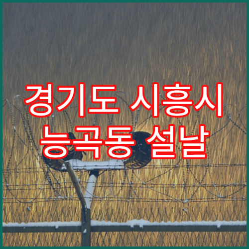 경기도 시흥시 능곡동 설날 명절 연휴 당직약국 능곡동 GTX-B 인근 처방전 조제 안내