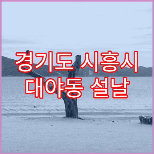 경기도 시흥시 대야동 설날 명절 연휴 심야약국 대야동 공단·정왕3동 근처 소화제 안내