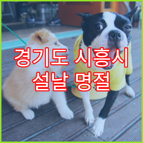 경기도 시흥시 설날 명절 류마티스내과 연휴 진료 병원 관절염·만성 통증 상담 가능