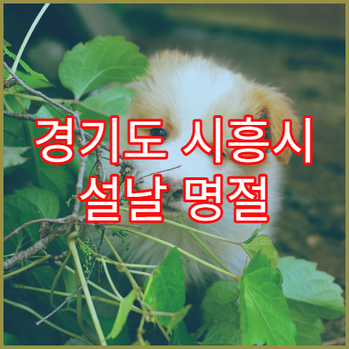 경기도 시흥시 설날 명절 소아과 연휴 진료 병원 소아 발열·설사·기침 응급 진료 가능