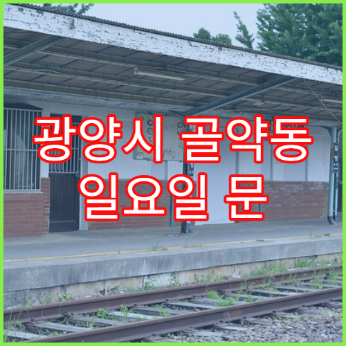 광양시 골약동 일요일 문 여는 약국 감기약·해열제 구매 가능