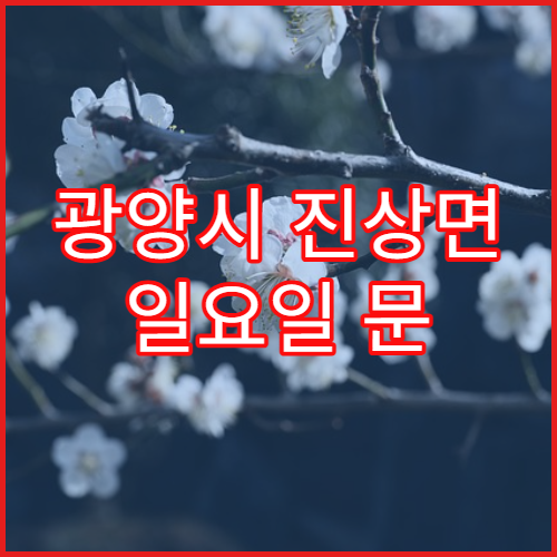 광양시 진상면 일요일 문 여는 약국 비염약·알레르기약 상담