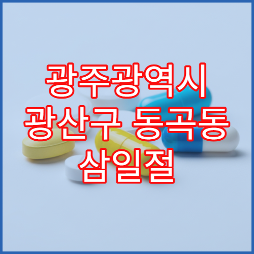 광주광역시 광산구 동곡동 삼일절 대체공휴일 문 여는 약국 찾기