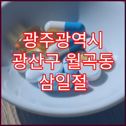광주광역시 광산구 월곡동 삼일절 대체공휴일 영업 약국(월곡1·2동)