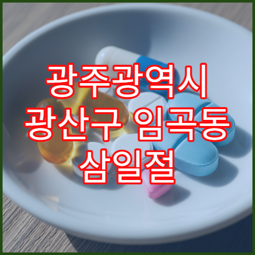 광주광역시 광산구 임곡동 삼일절 대체공휴일 당번약국 안내