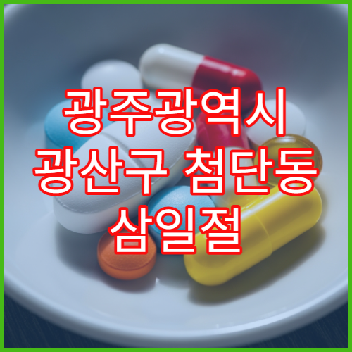 광주광역시 광산구 첨단동 삼일절 대체공휴일 문 여는 약국(첨단1·2동)