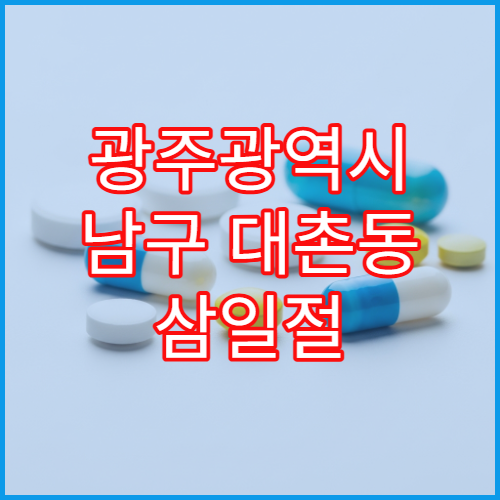 광주광역시 남구 대촌동 삼일절 대체공휴일 영업 약국