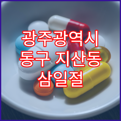 광주광역시 동구 지산동 삼일절 대체공휴일 문 연 약국(1·2동)