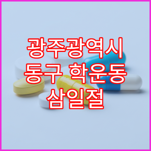 광주광역시 동구 학운동 삼일절 대체공휴일 공휴일 약국 안내