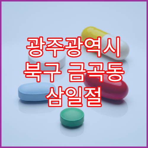 광주광역시 북구 금곡동 삼일절 대체공휴일 문 여는 약국