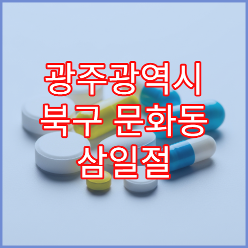 광주광역시 북구 문화동 삼일절 대체공휴일 오늘 영업 약국