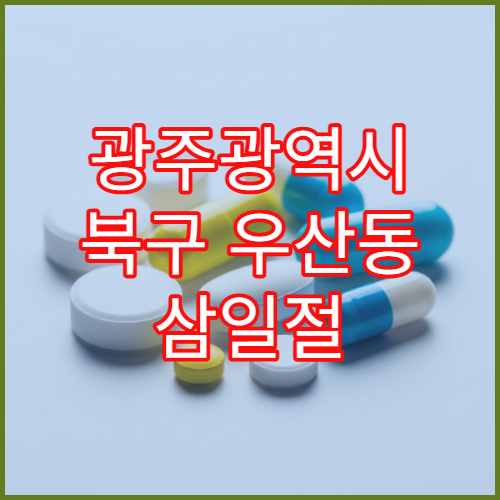 광주광역시 북구 우산동 삼일절 대체공휴일 영업 중 약국