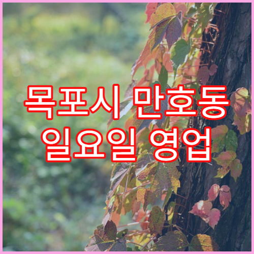 목포시 만호동 일요일 영업 약국 어린이 감기약·기침약 판매