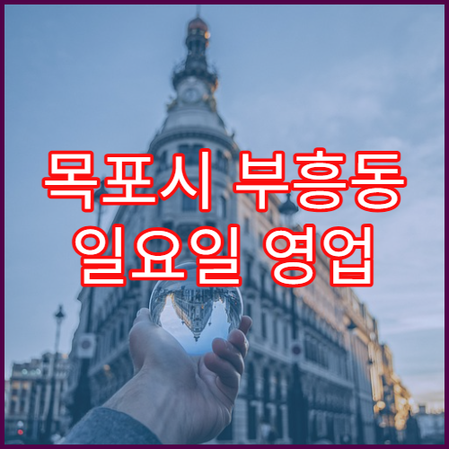 목포시 부흥동 일요일 영업 약국 비염약·알레르기약 판매