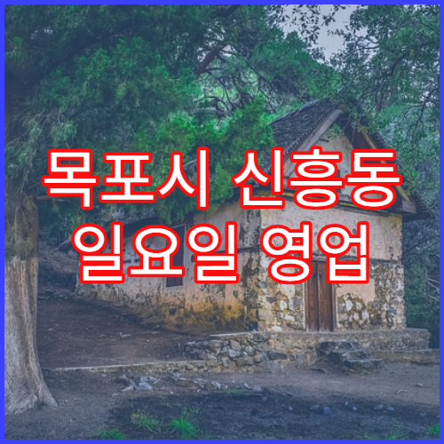 목포시 신흥동 일요일 영업 약국 처방전 조제·항생제 수령 가능