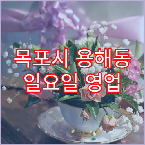 목포시 용해동 일요일 영업 약국 소화제·위장약 상담 안내