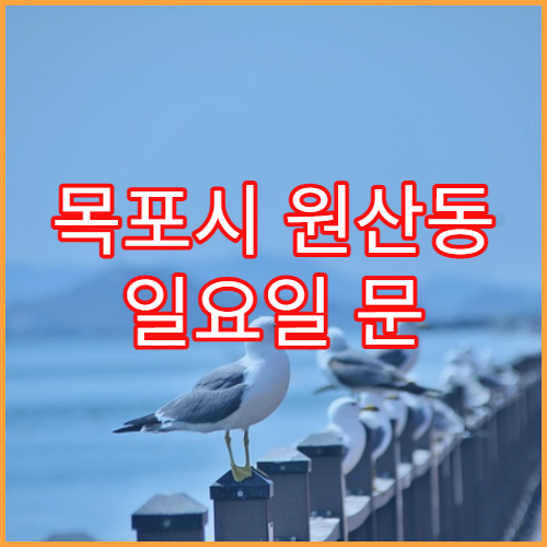 목포시 원산동 일요일 문 여는 약국 다래끼 안약·연고 판매