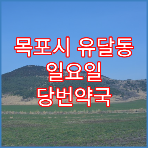 목포시 유달동 일요일 당번약국 여행 상비약·멀미약 구매 가능